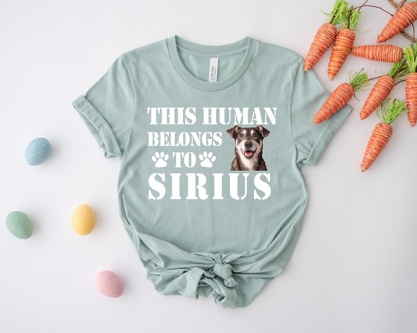 This Human Belongs to Shirt, Custom Dog Dad Shirt, Custom Photo Pet Shirt-newamarketing