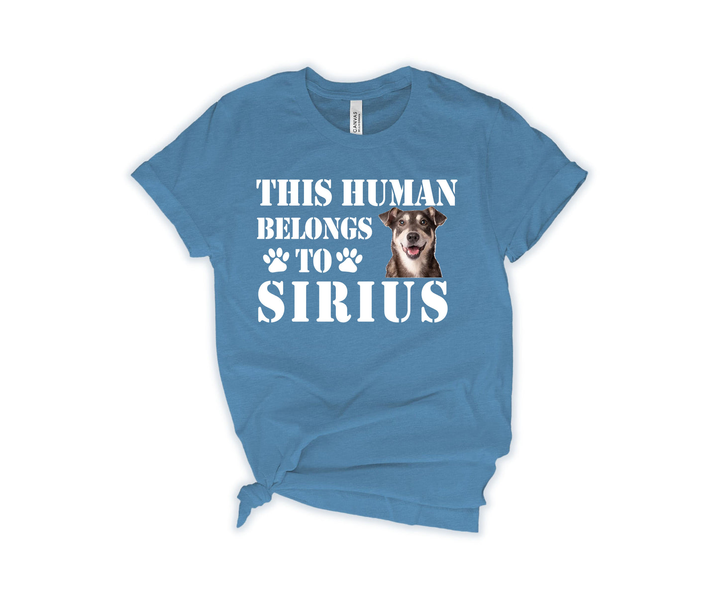 This Human Belongs to Shirt, Custom Dog Dad Shirt, Custom Photo Pet Shirt-newamarketing