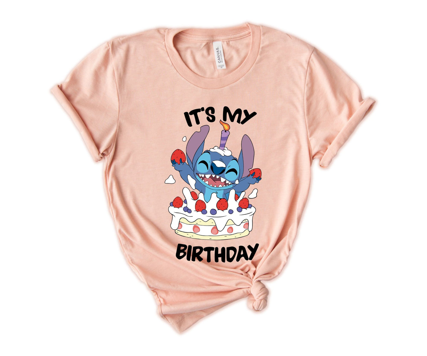 It's My Birhday T-Shirt