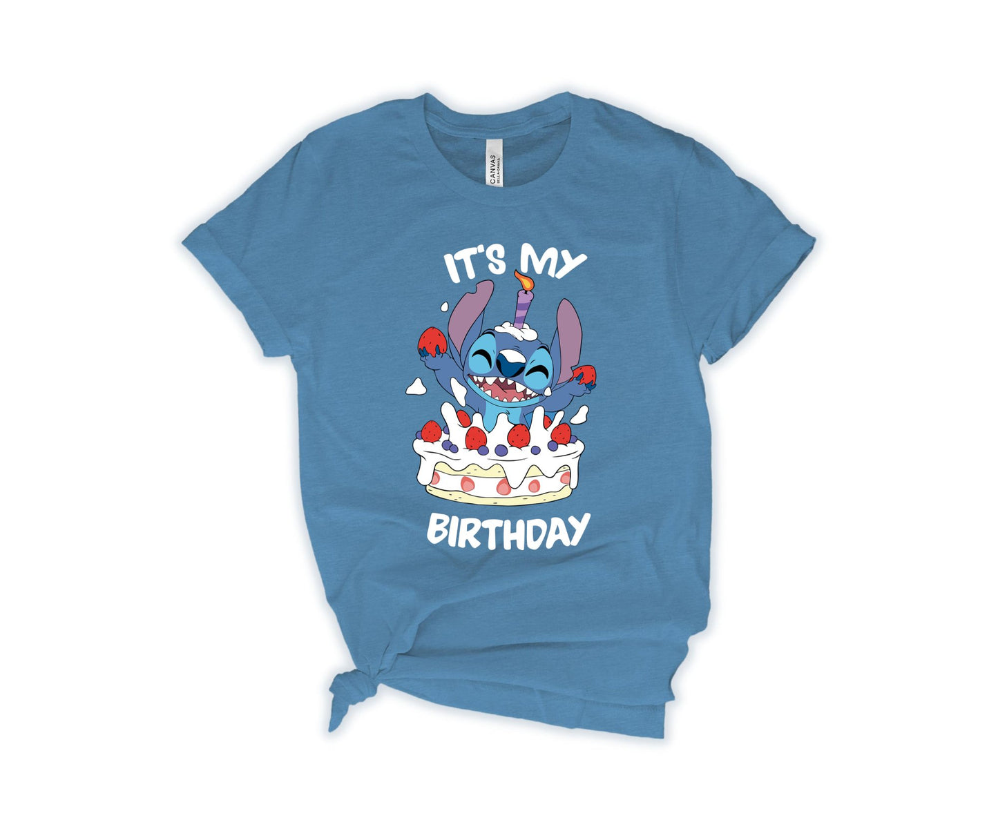 It's My Birhday T-Shirt