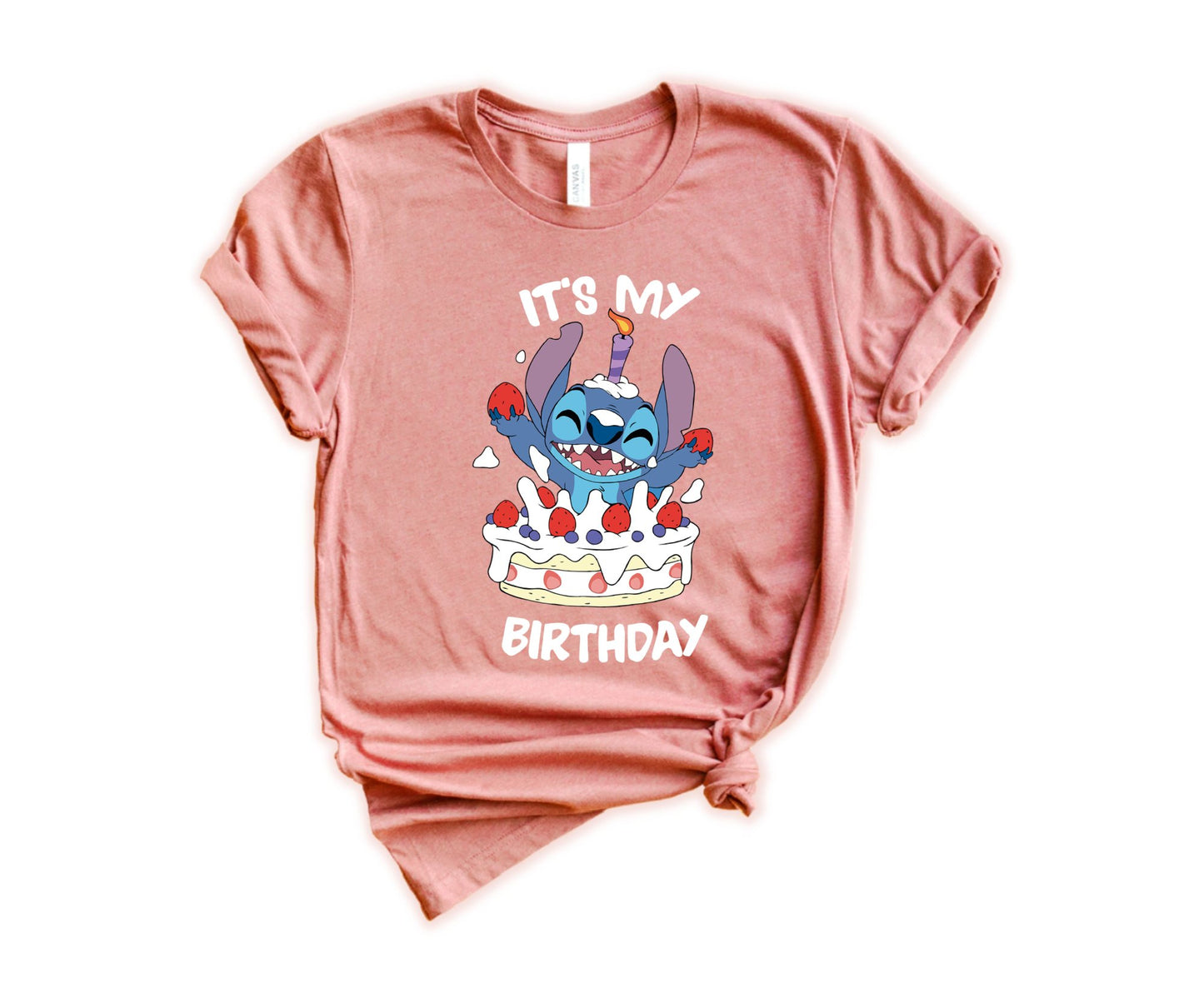 It's My Birhday T-Shirt