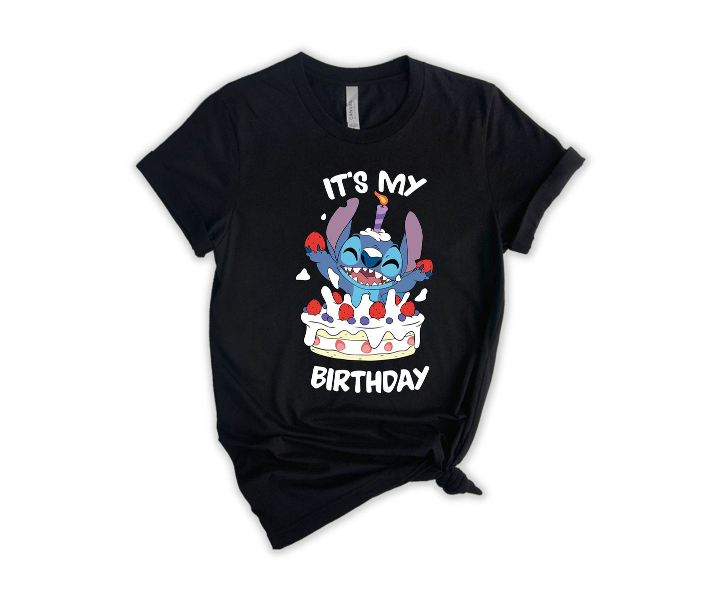 It's My Birhday T-Shirt