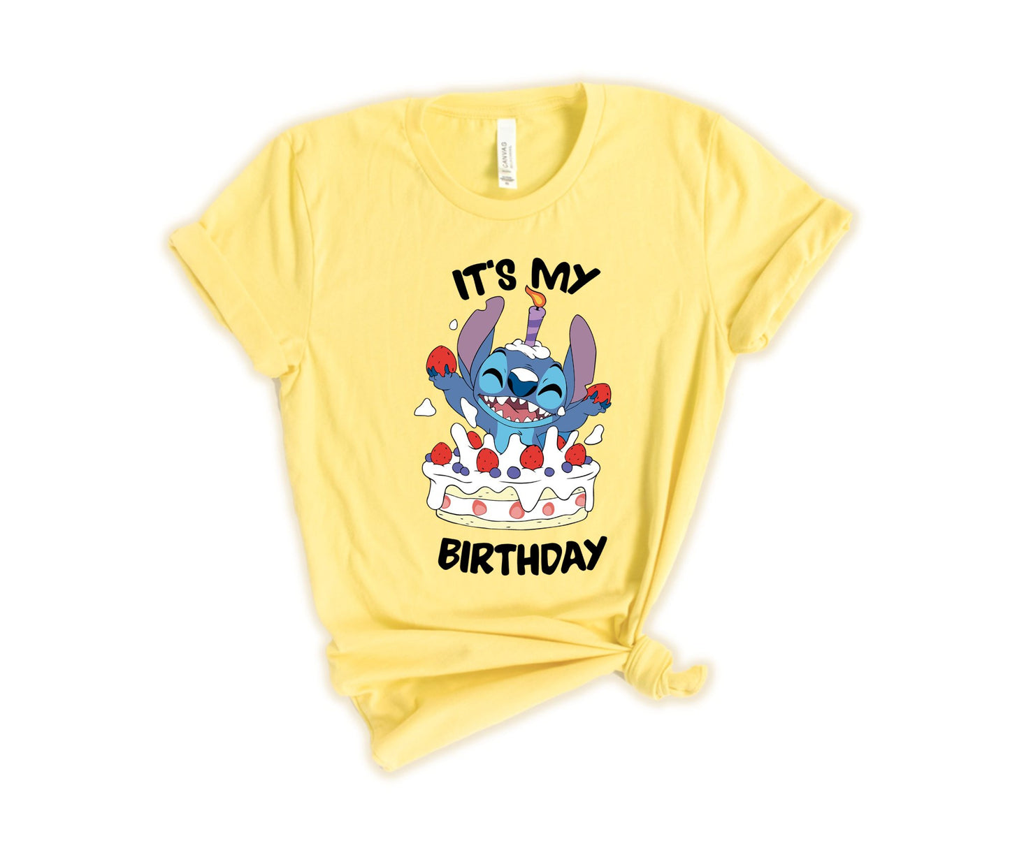 It's My Birhday T-Shirt