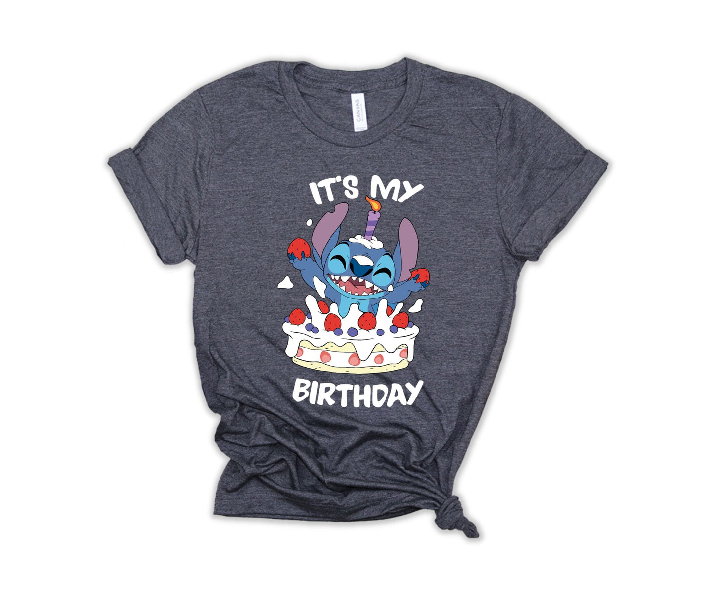 It's My Birhday T-Shirt