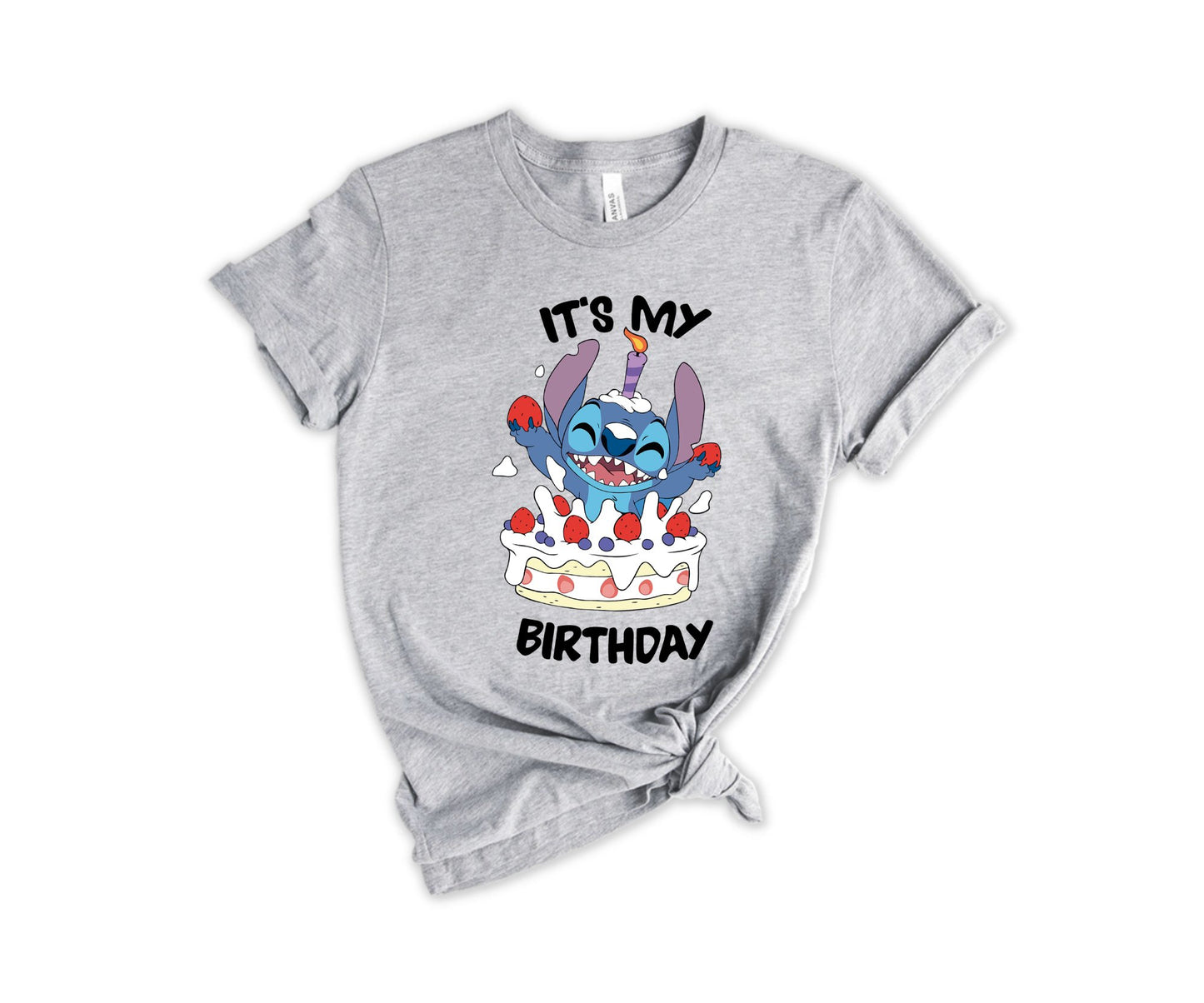 It's My Birhday T-Shirt