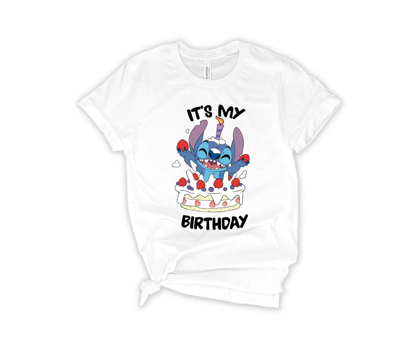 It's My Birhday T-Shirt