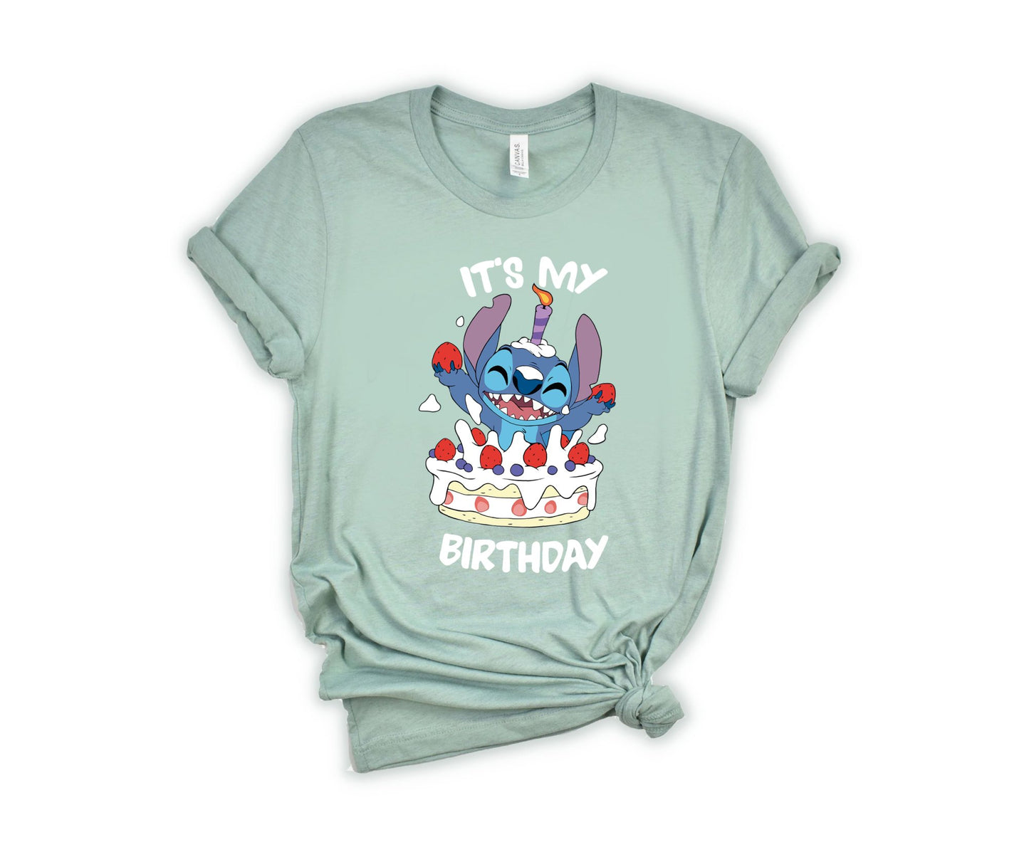 It's My Birhday T-Shirt