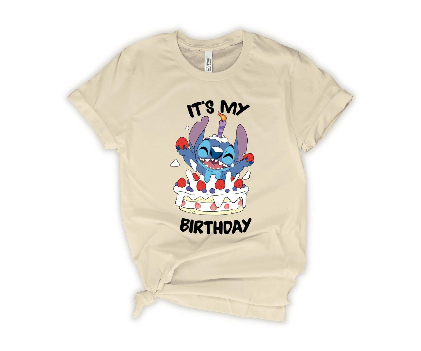 It's My Birhday T-Shirt